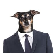 GoldenG4b
