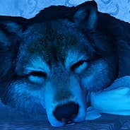 TheWolfLT