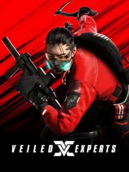 VEILED EXPERTS