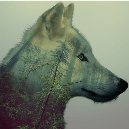 NightmareGFX