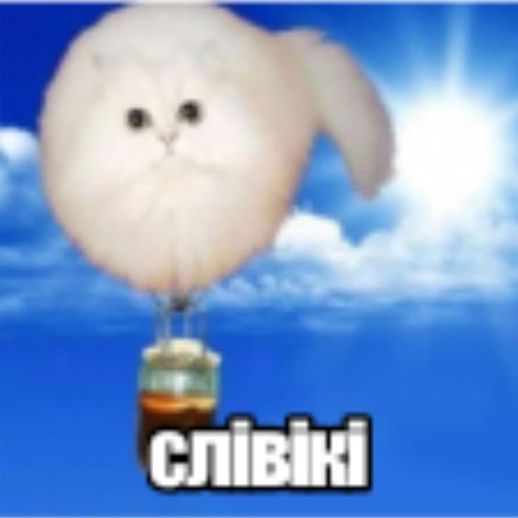Holochechok